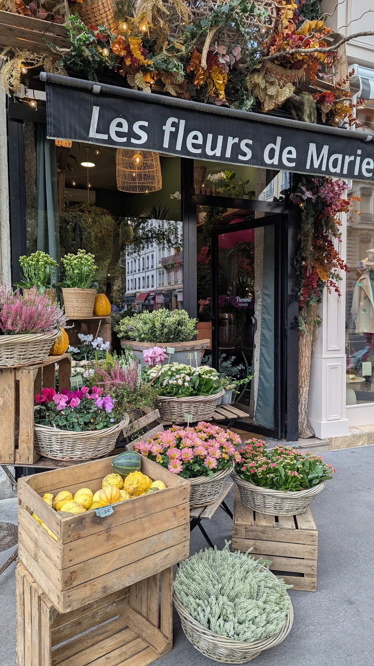 Les Fleurs de Marie