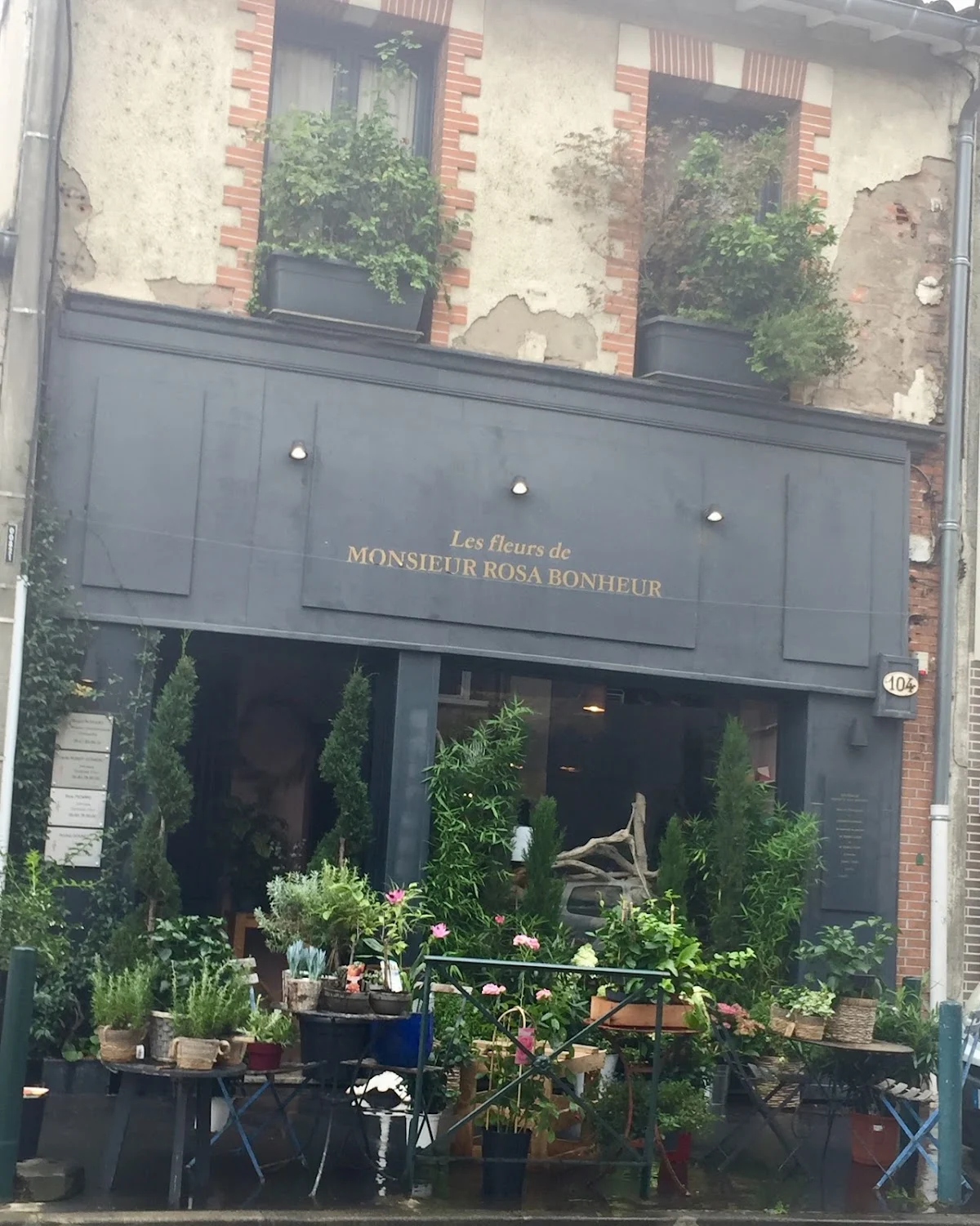 Les fleurs de Monsieur Rosa Bonheur