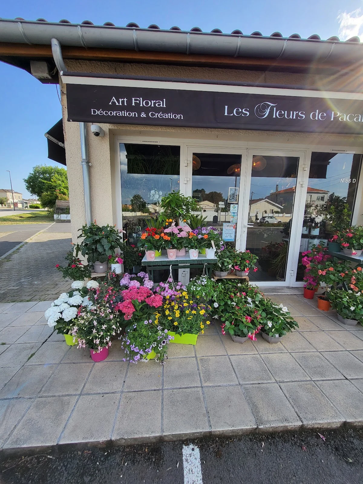 Les Fleurs de Pacaris - 4