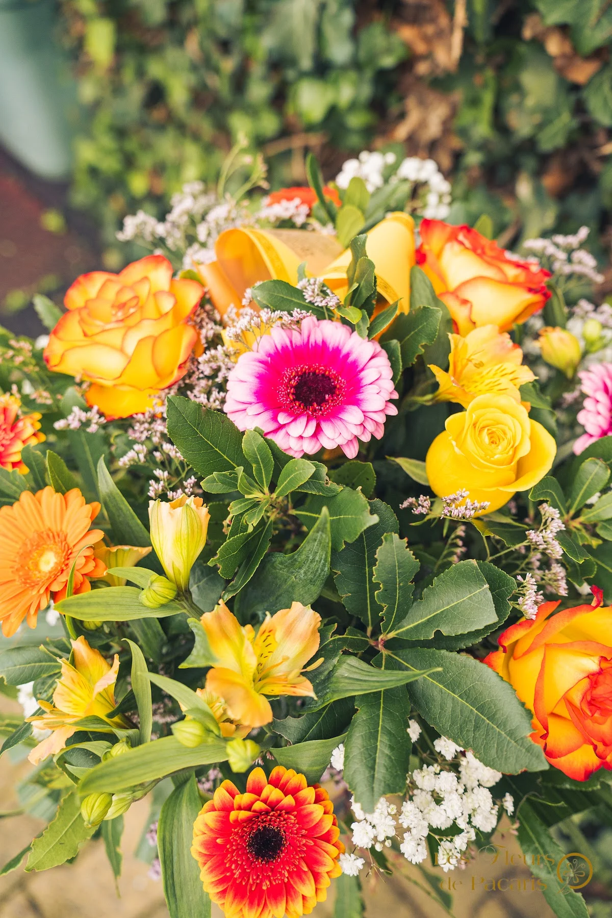 Les Fleurs de Pacaris - 5