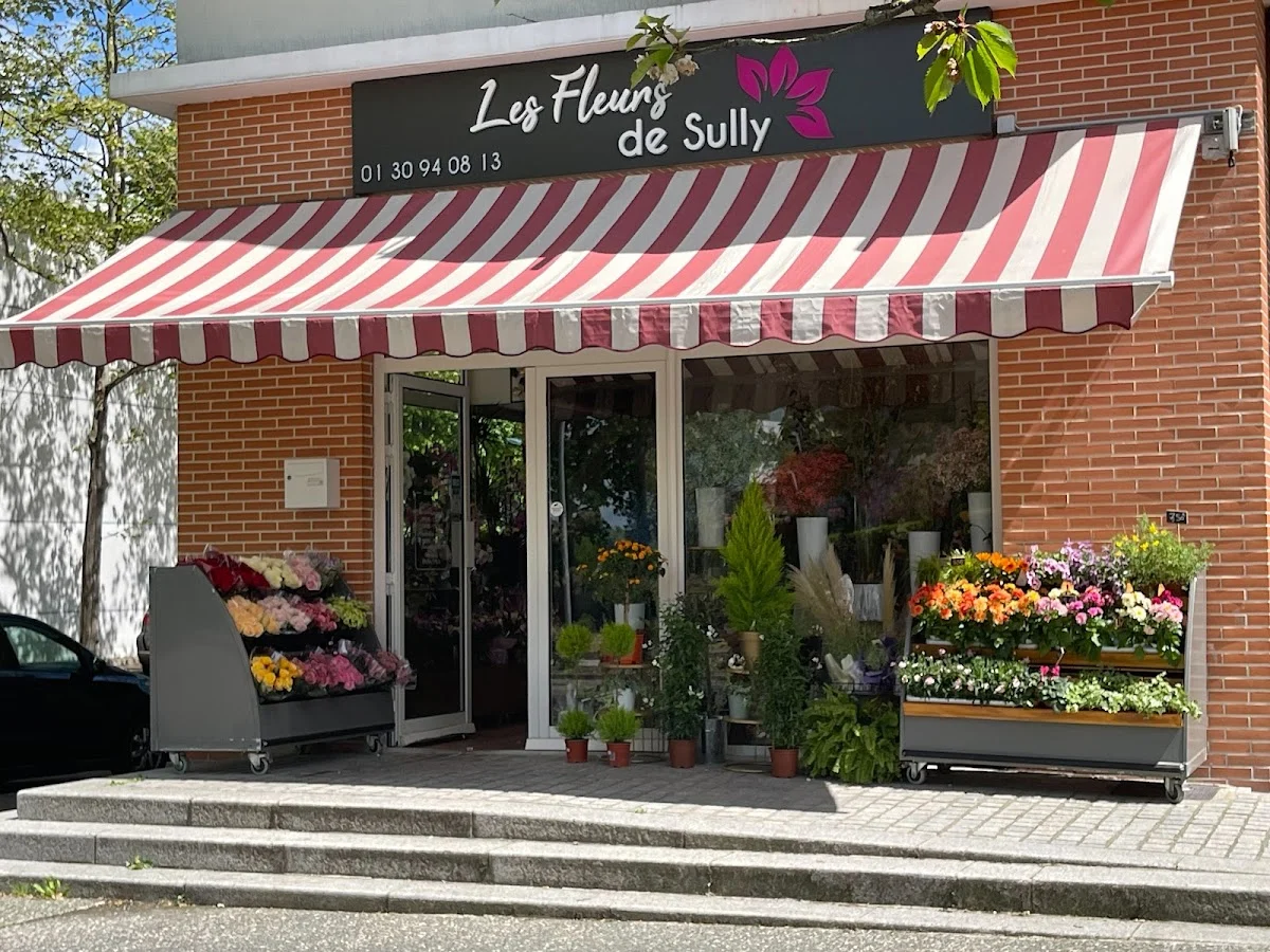 Les Fleurs de Sully - 4