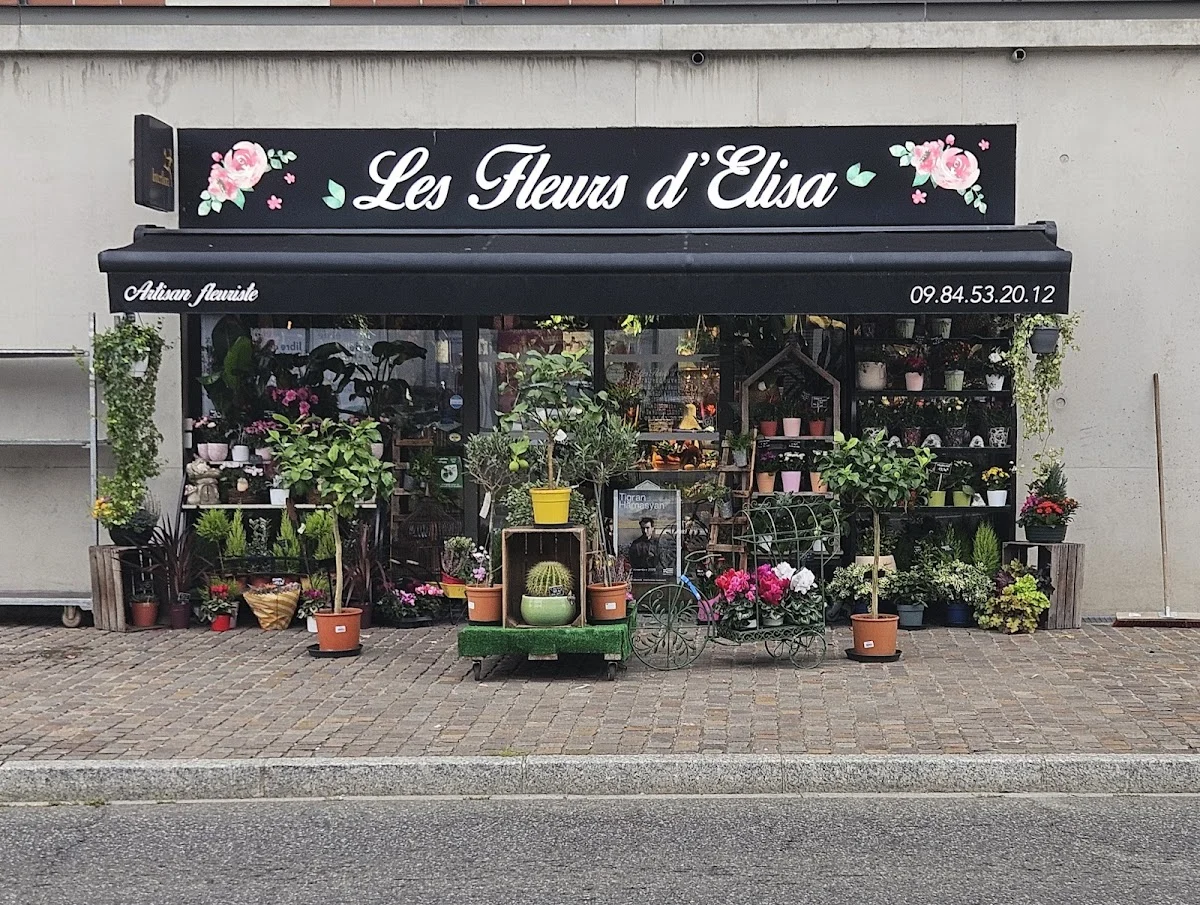Les Fleurs D'elisa
