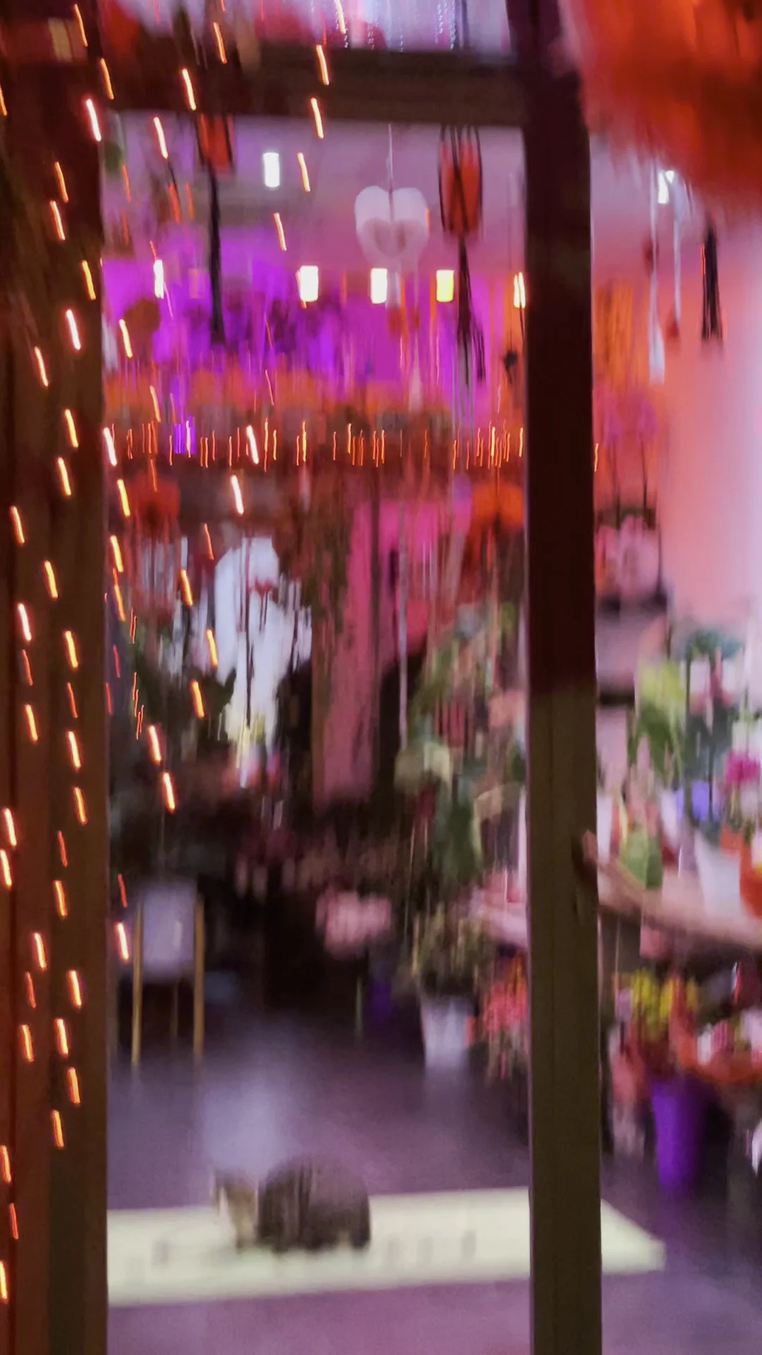 Les fleurs des 5 Avenues - 3