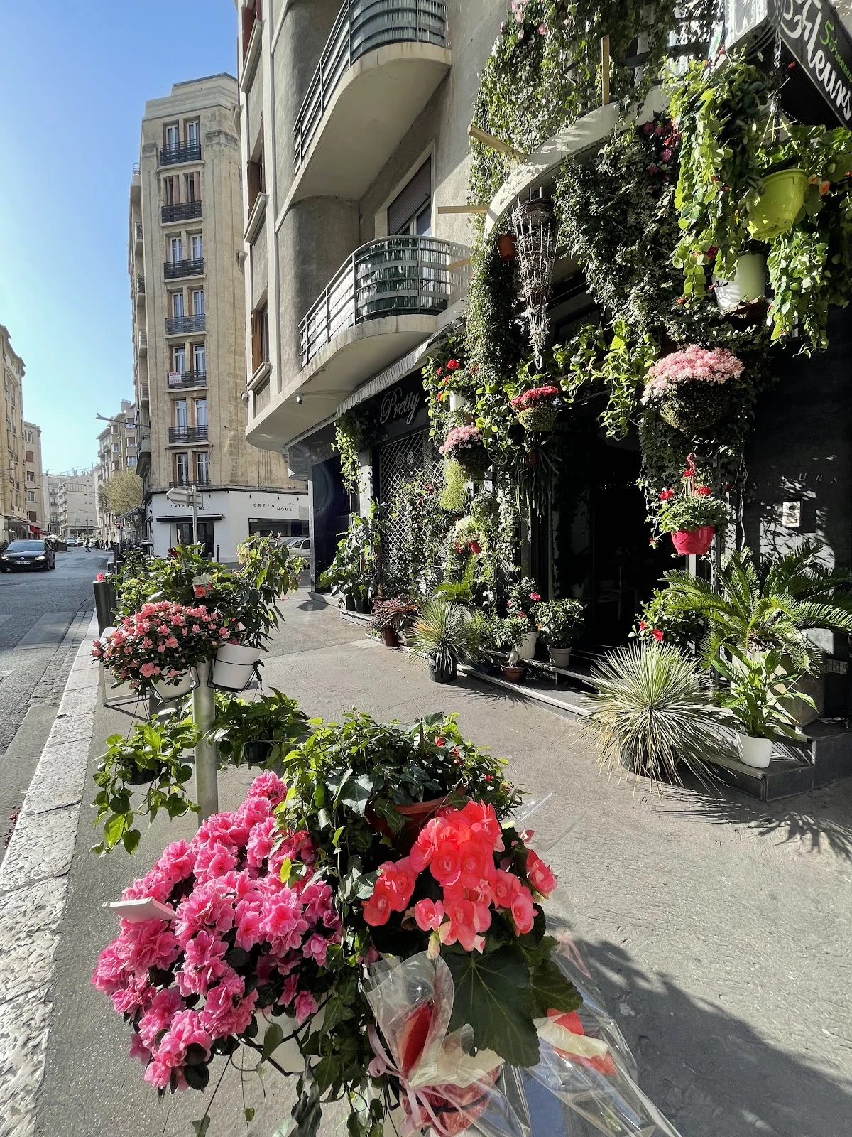 Les fleurs des 5 Avenues - 5