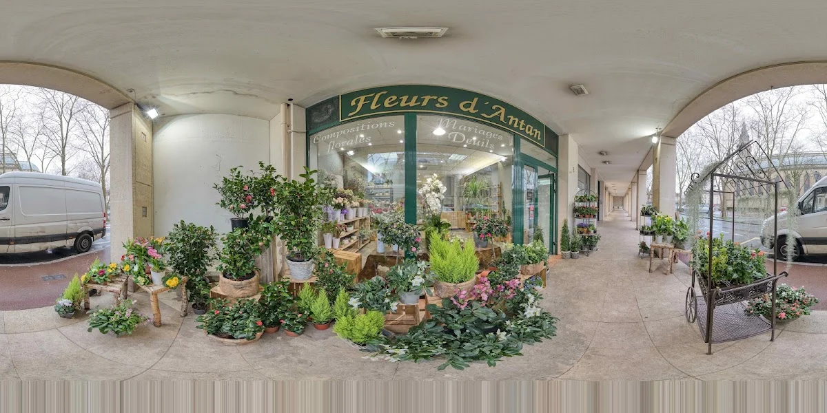 Les Fleurs D'Inès - 3