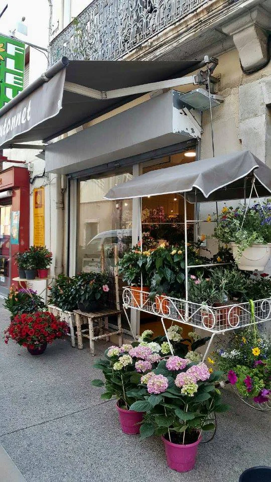 Les Fleurs du Boutonnet - 4