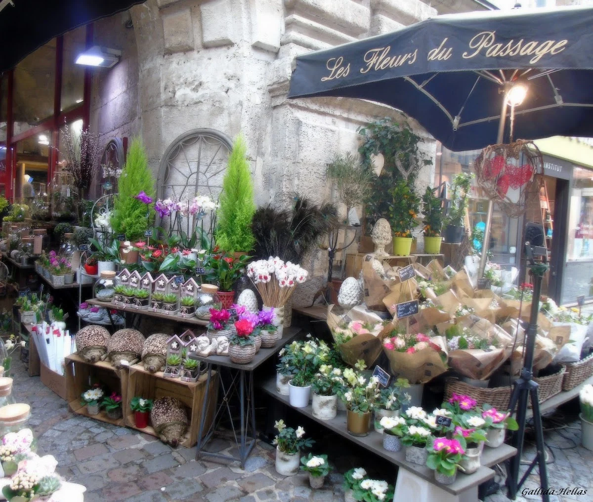 Les Fleurs du Passage - Fleuriste Rouen - 2