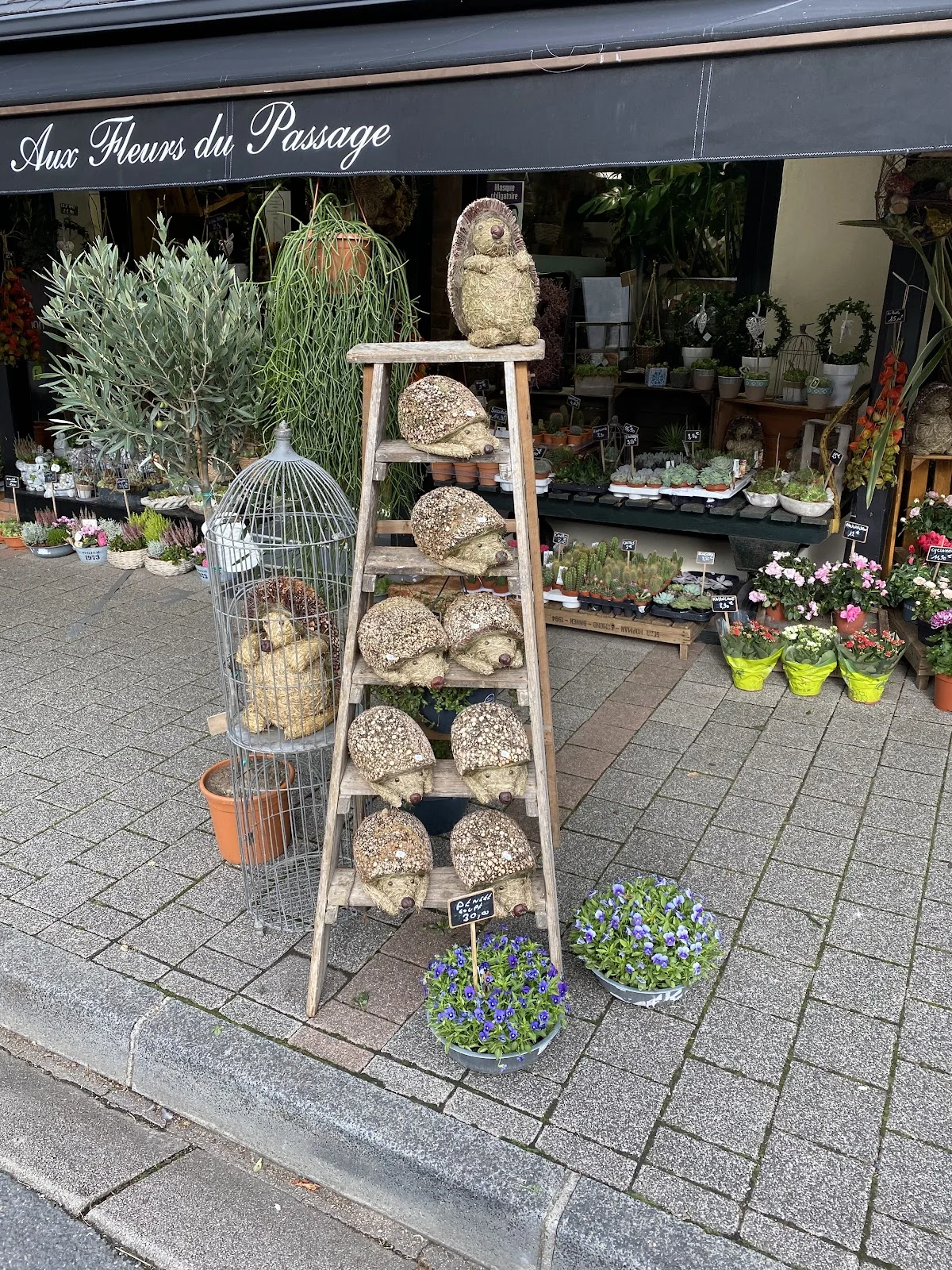 Les Fleurs du Passage - Fleuriste Rouen - 6