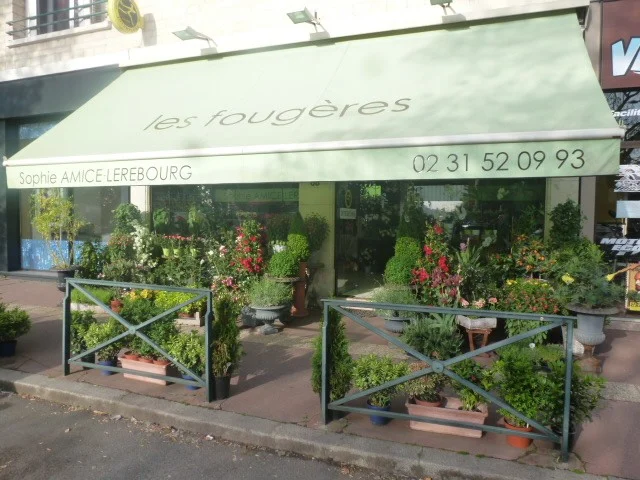 Les Fougères