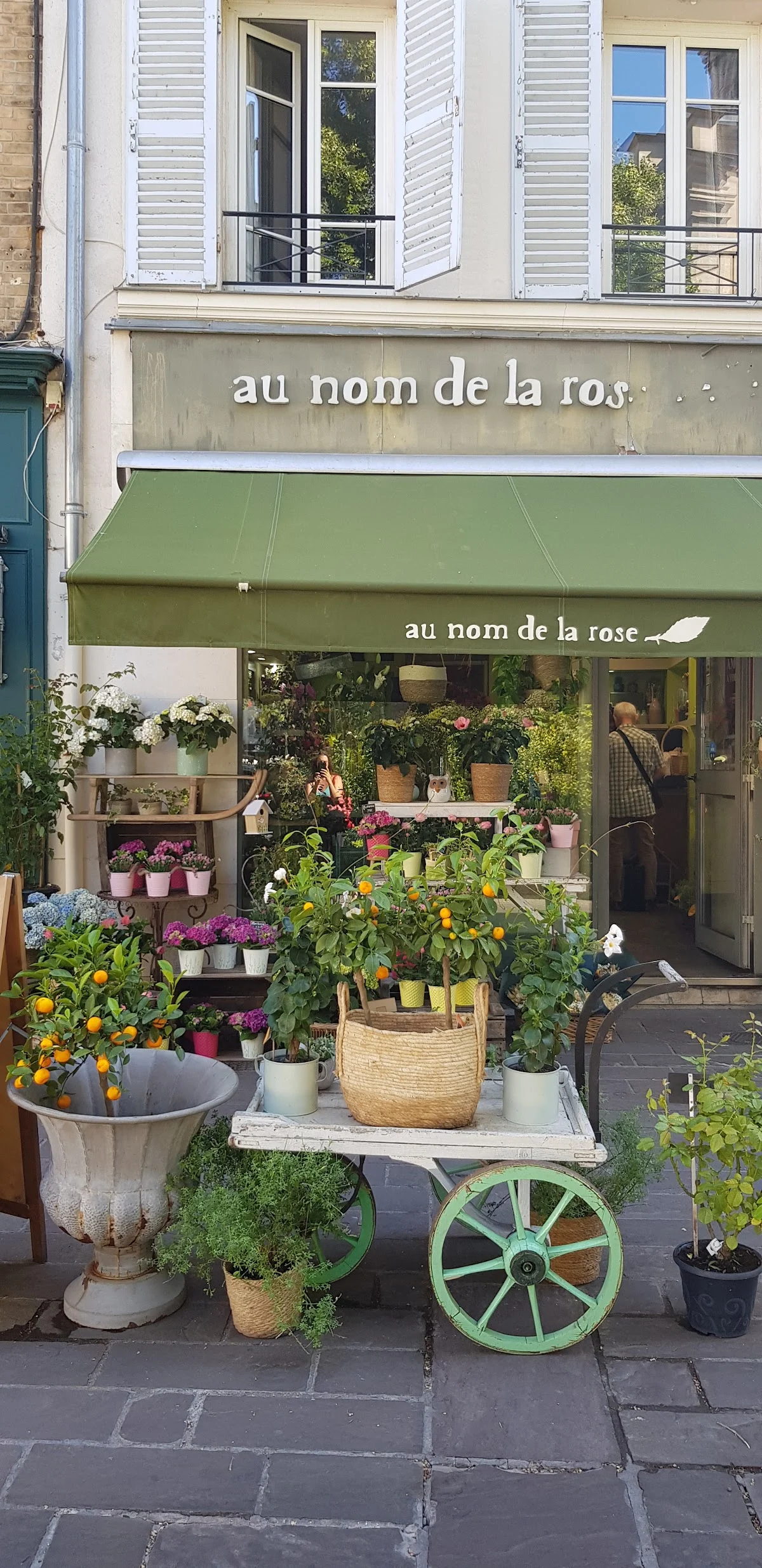 Les jardins de Rose - 4