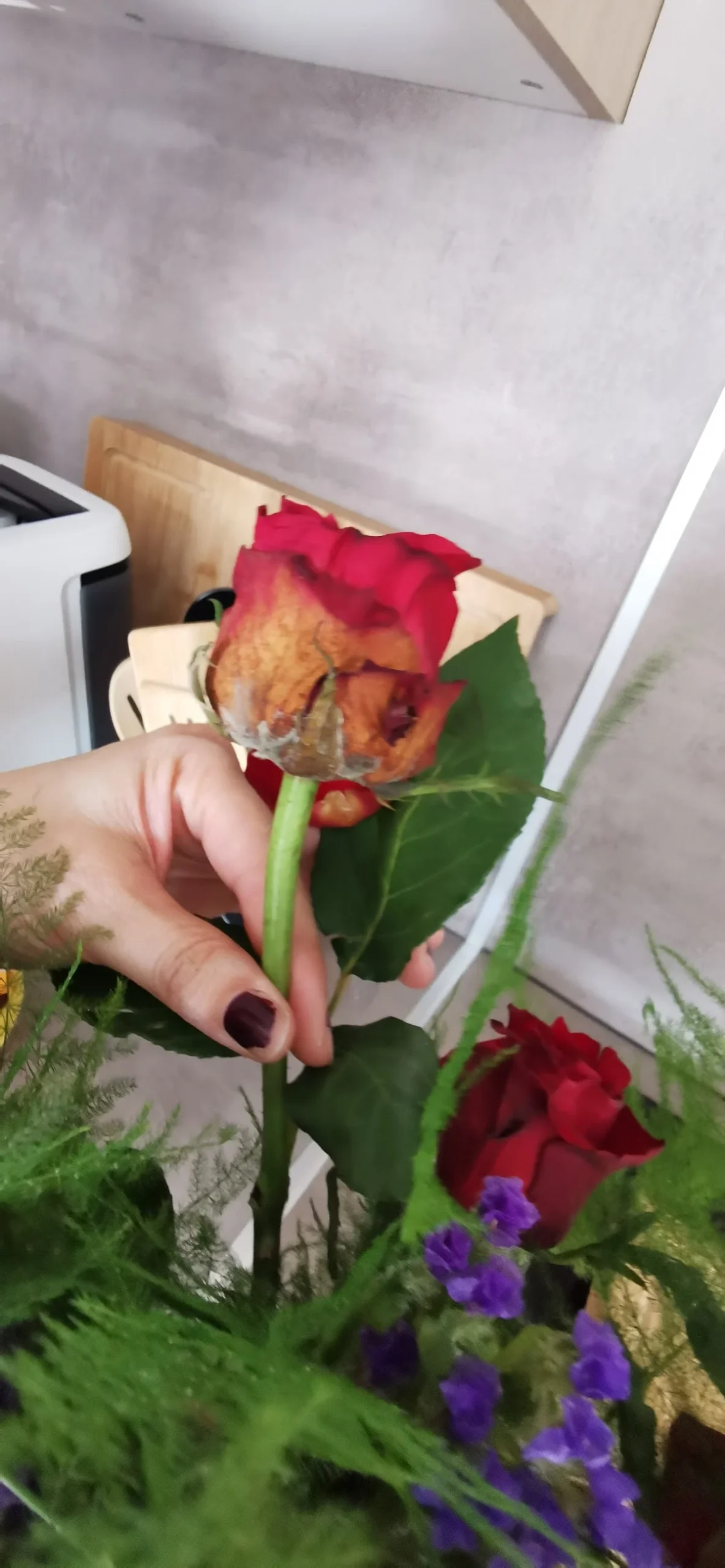 Les Mille Et Une Fleurs - 2
