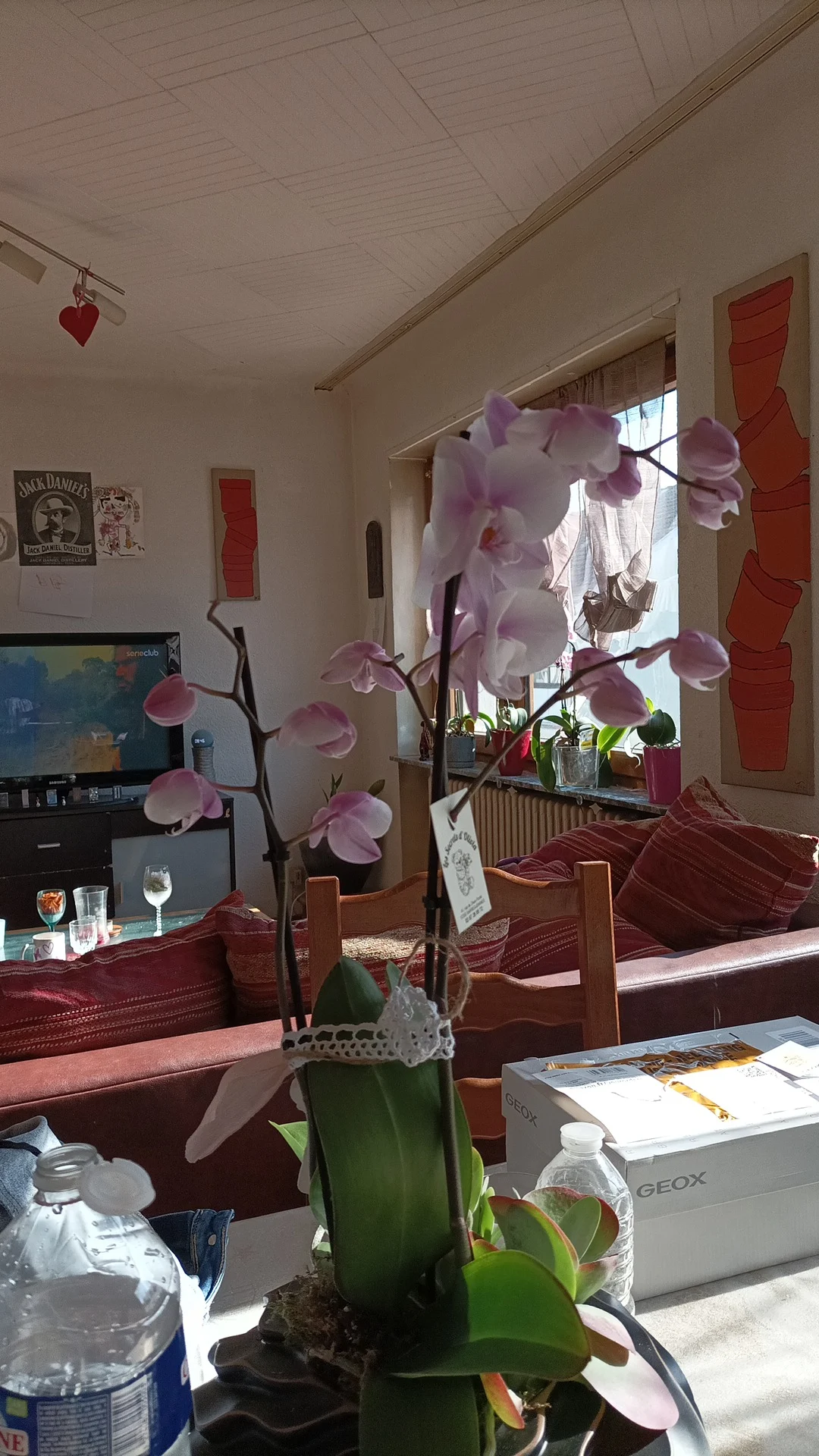 Les Secrets d'Olivia - 2