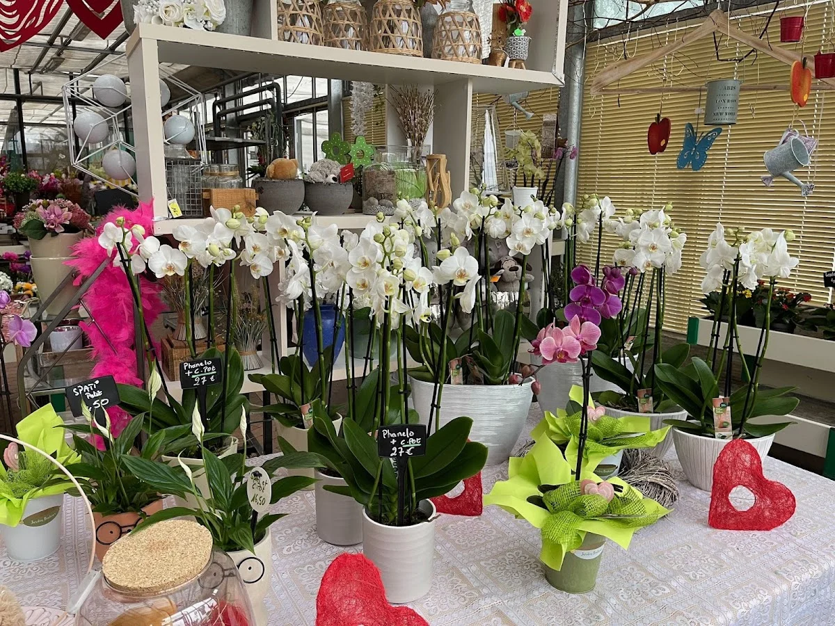 L'Espace Fleuri - 5