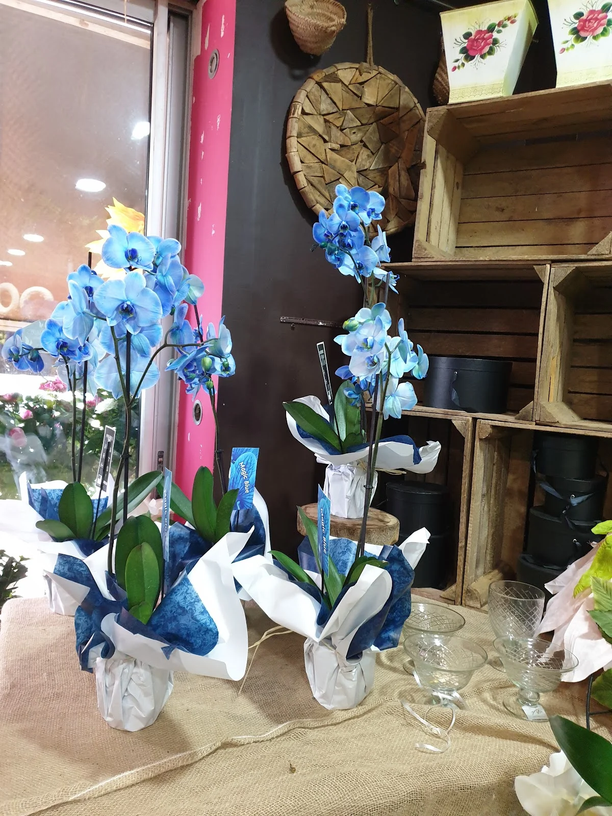 Lila's flowers - 2