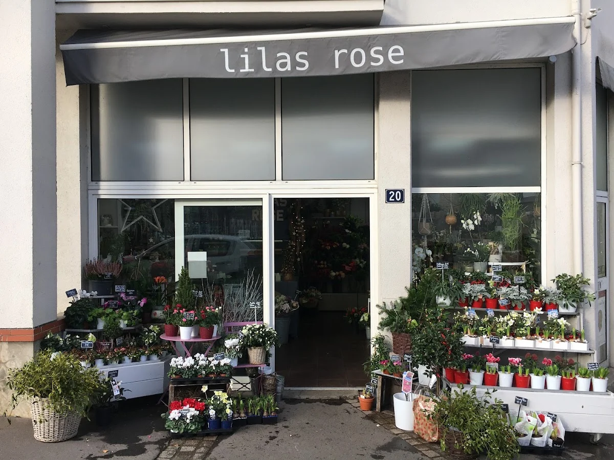 Lilas Rose