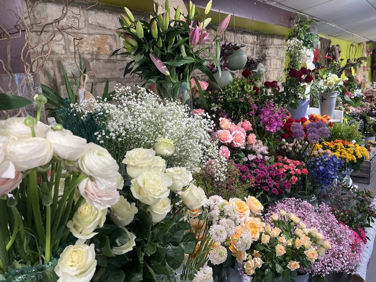 L'île Aux Fleurs - 3