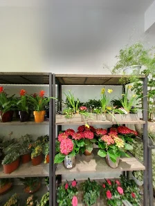 L'Île aux Fleurs - 6