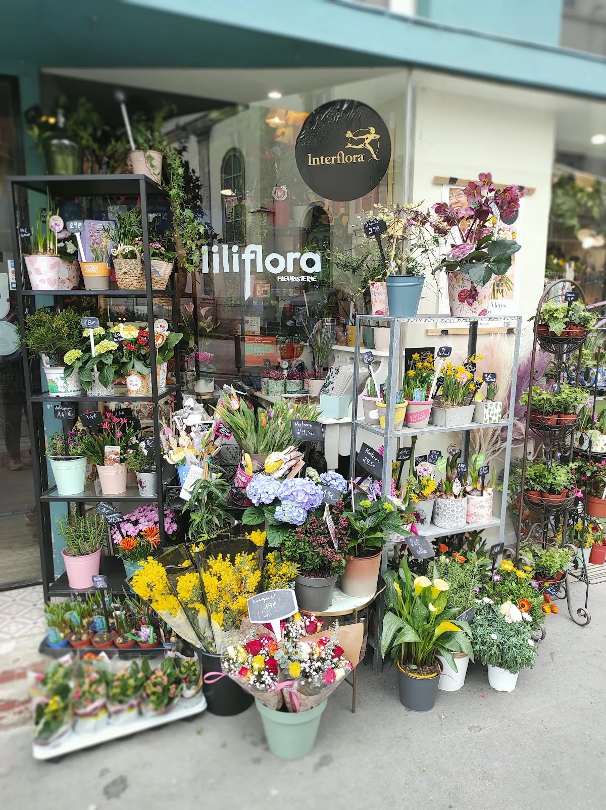 Lili Flora