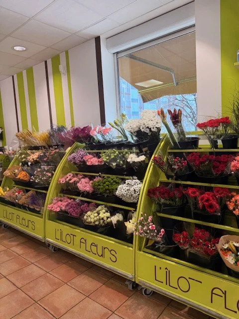 L'Îlot Fleurs - 3