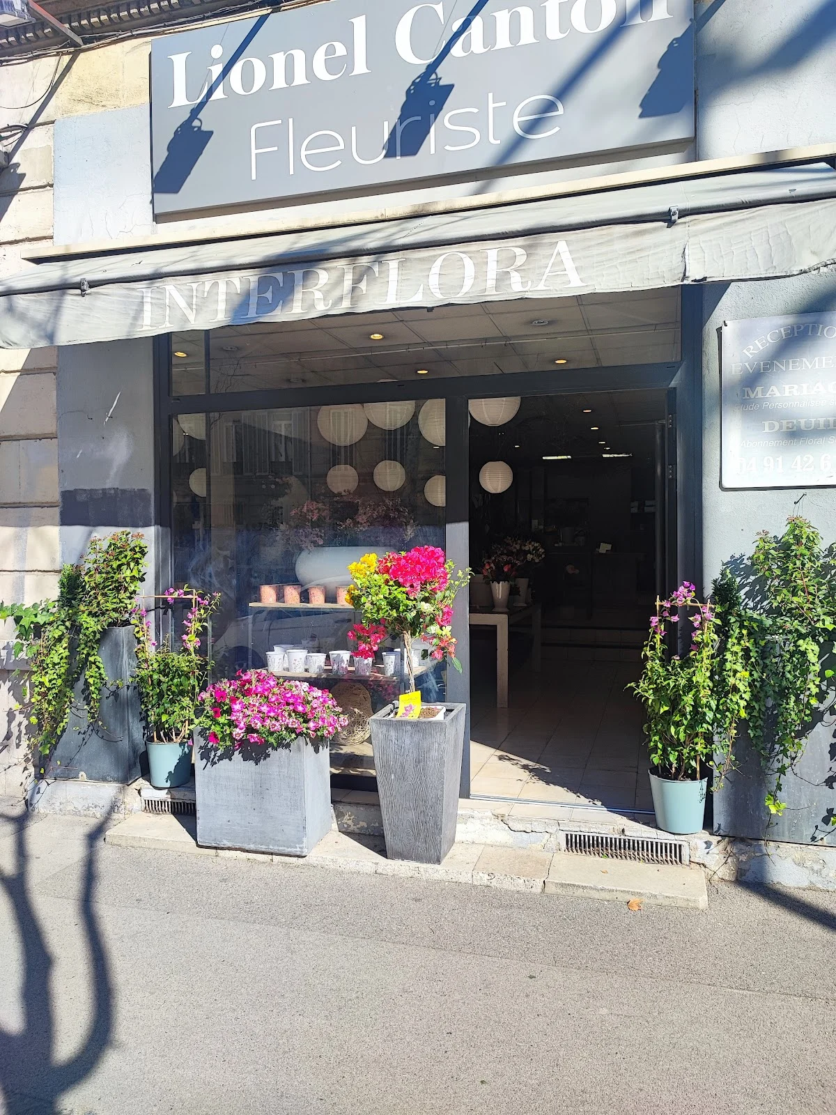Lionel Canton, Artisan Fleuriste Marseille 5 ème