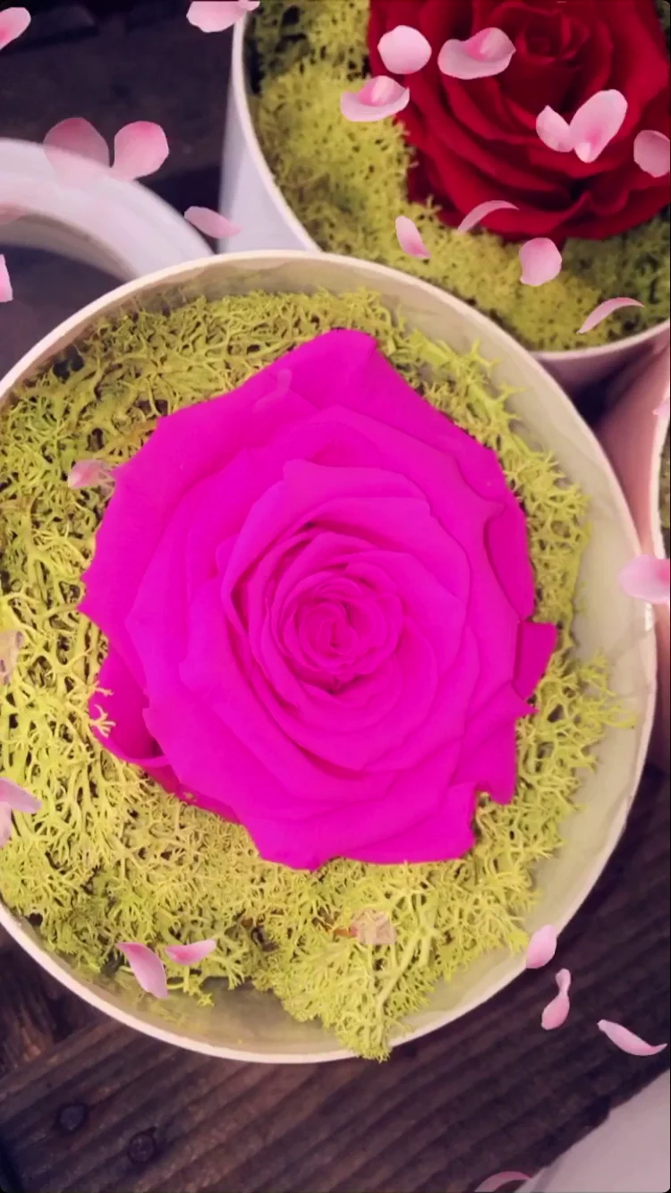 L'O de Rose | Fleuriste Marignane - 3