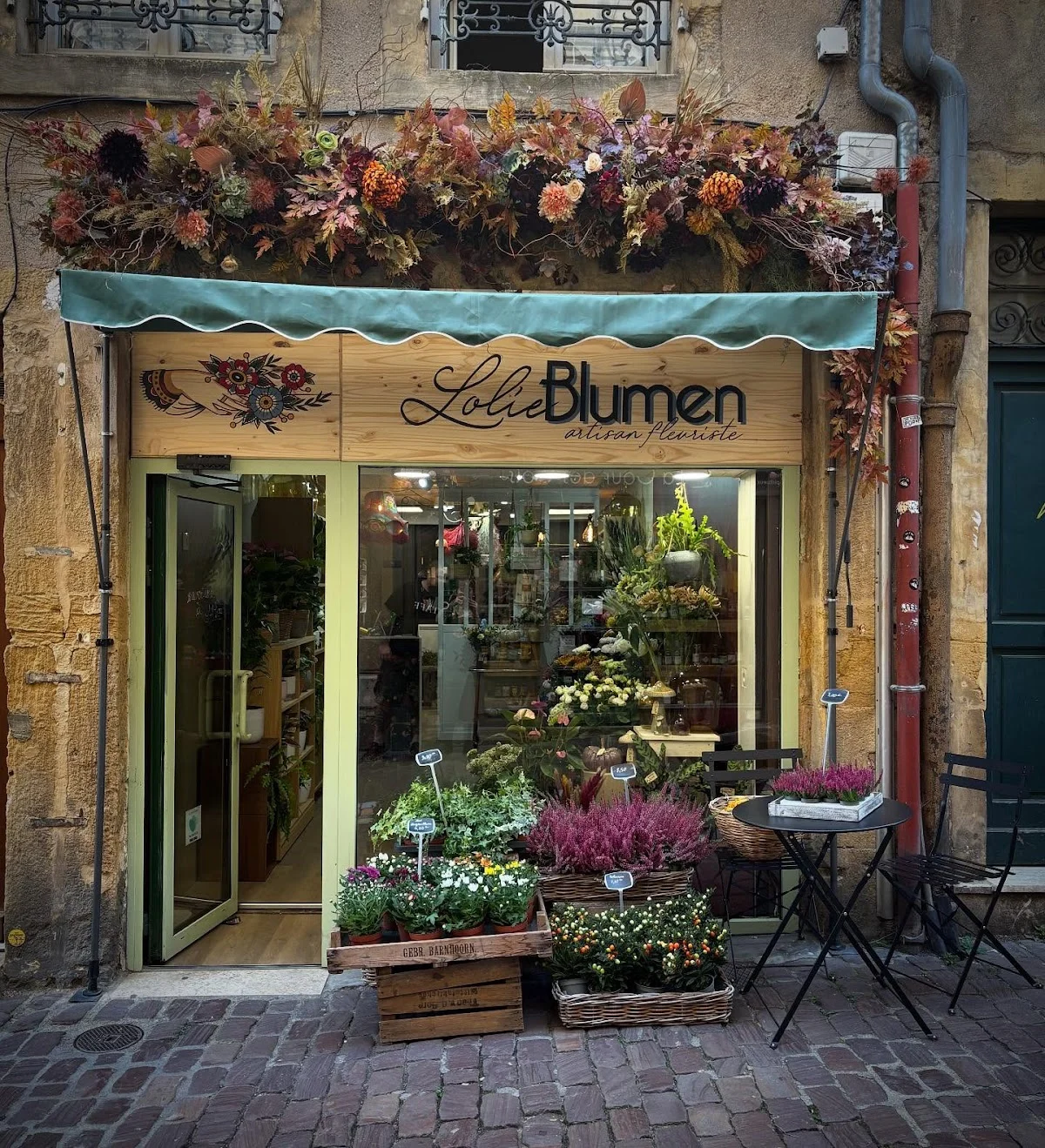 Lolie Blumen - 5