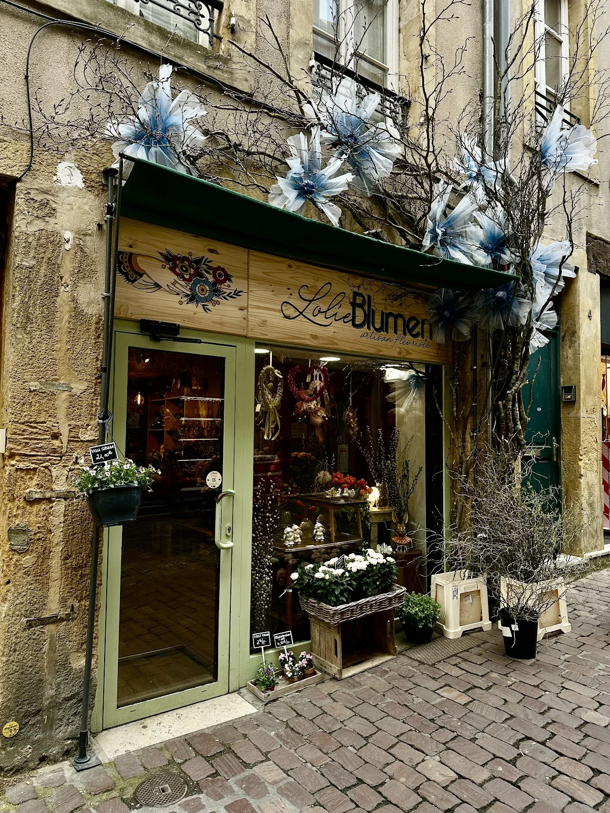 Lolie Blumen