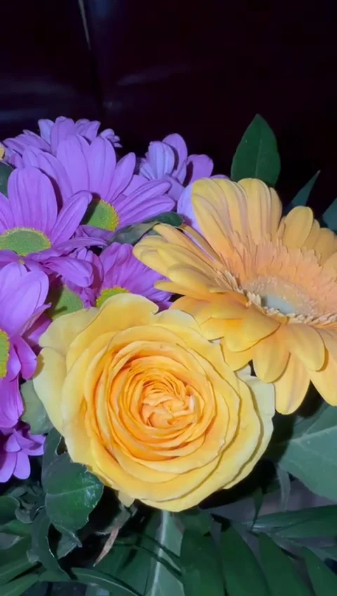 L'Orchidée, Fleuriste à Miramas - 3