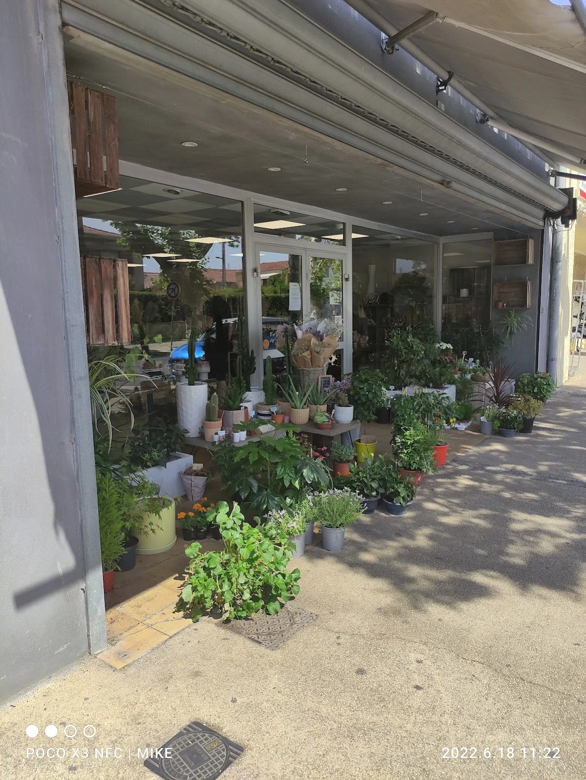 L'Orchidée, Fleuriste à Miramas