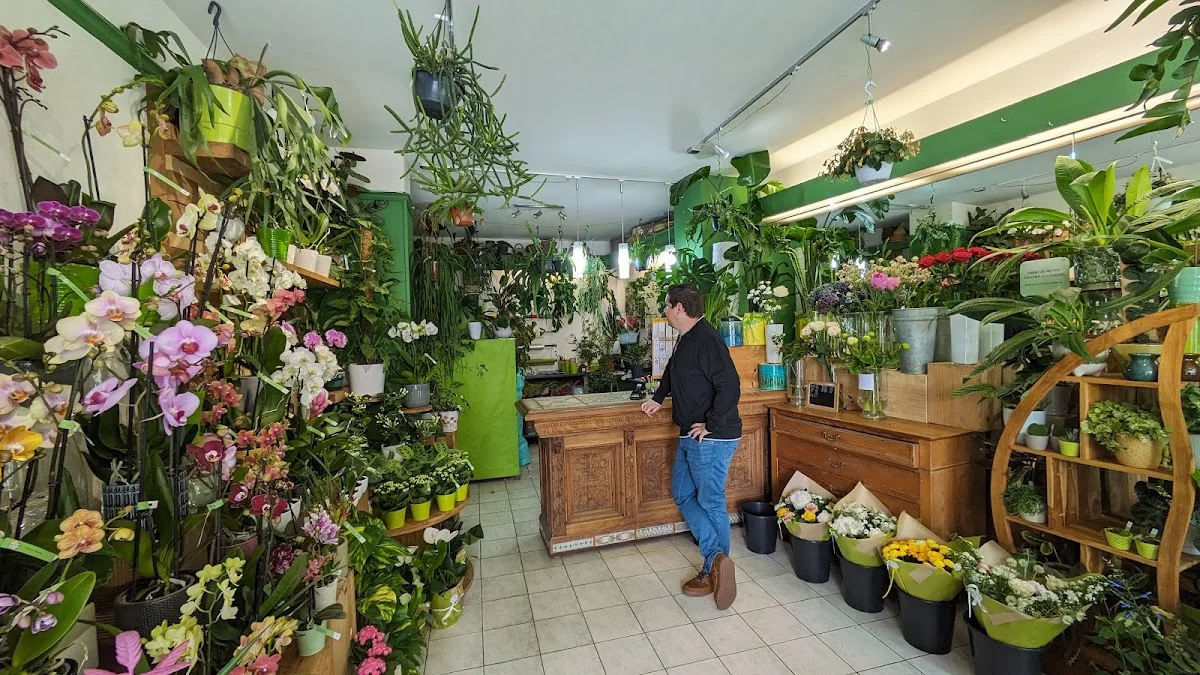 L'Orchidée Verte - 2