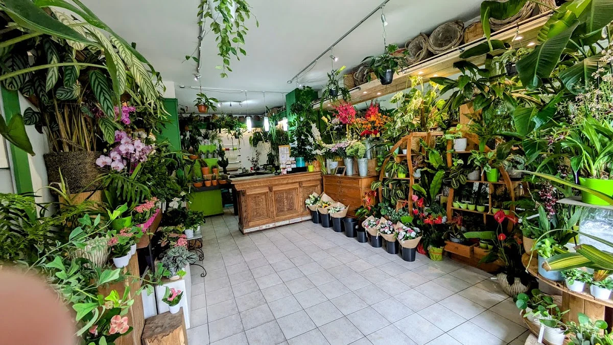L'Orchidée Verte