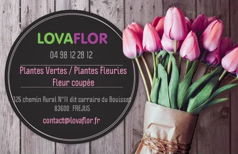 Lovaflor - 2