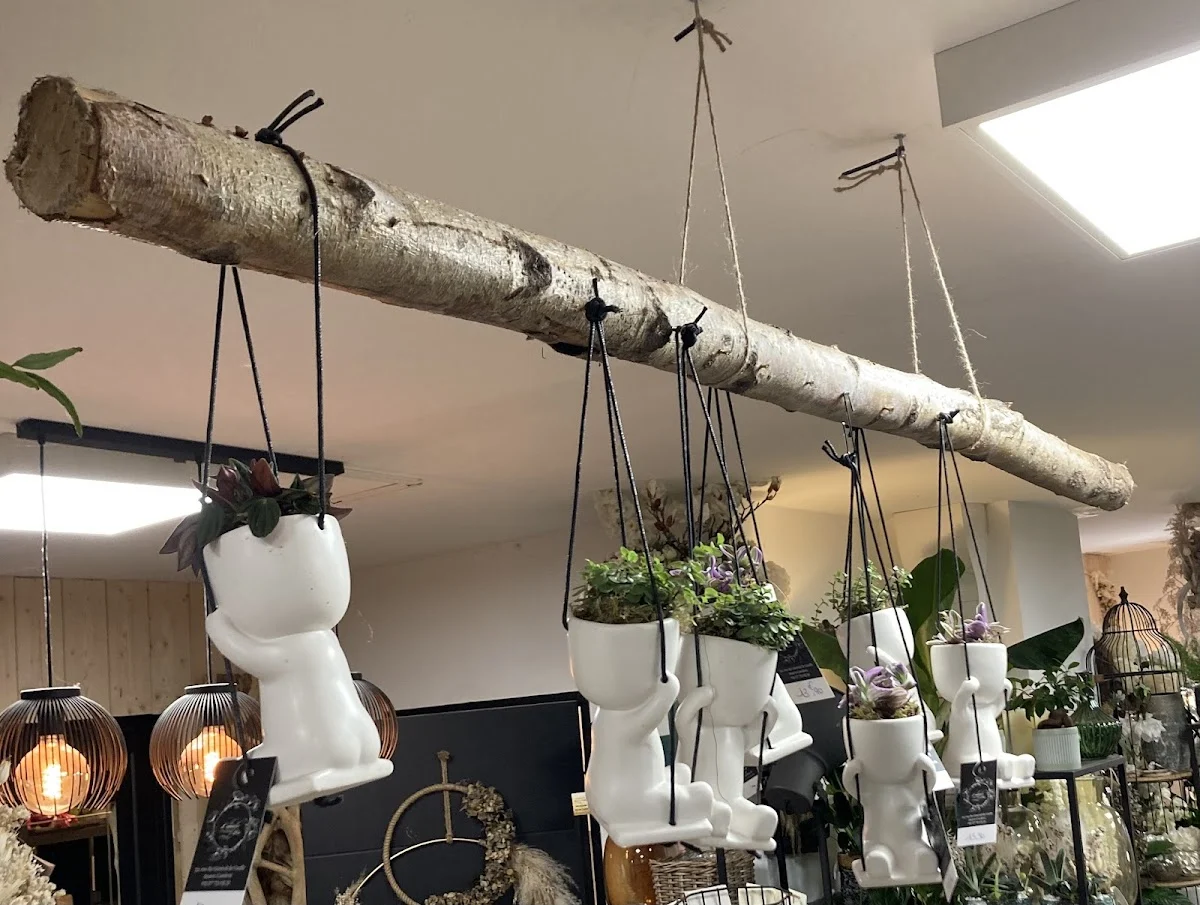 L'univers d'une Liss Fleuriste Cambrai - 2