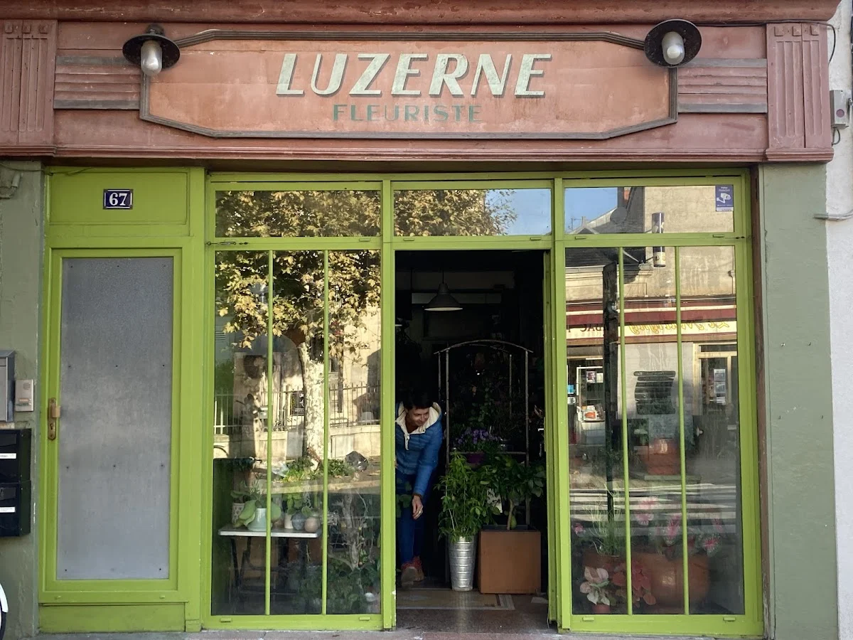 Luzerne
