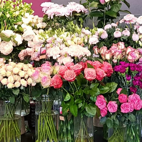 Lyzel Fleurs - 3