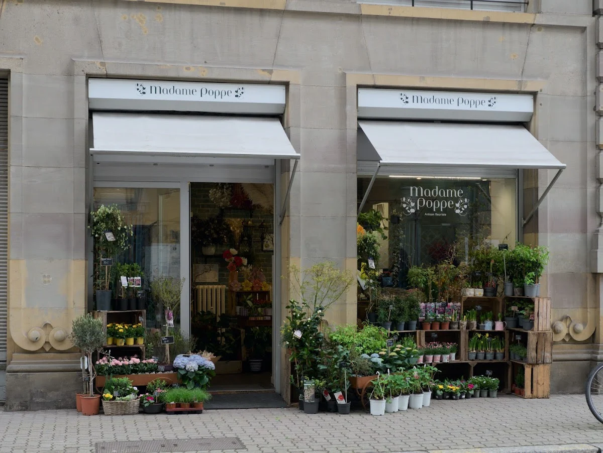 Madame poppe - Artisan fleuriste