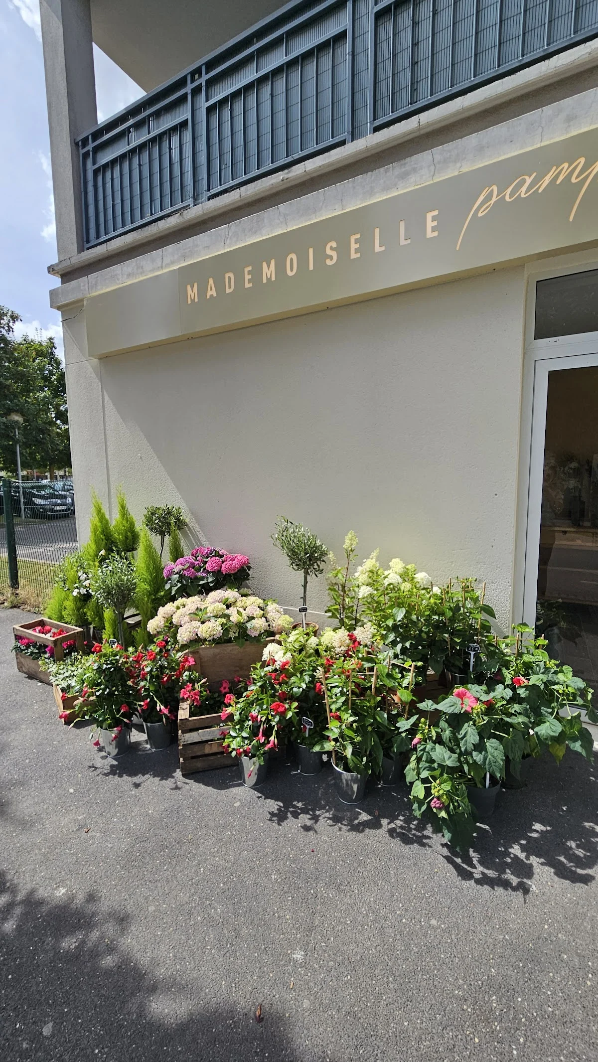 Mademoiselle Pampa Artisan Fleuriste - 3