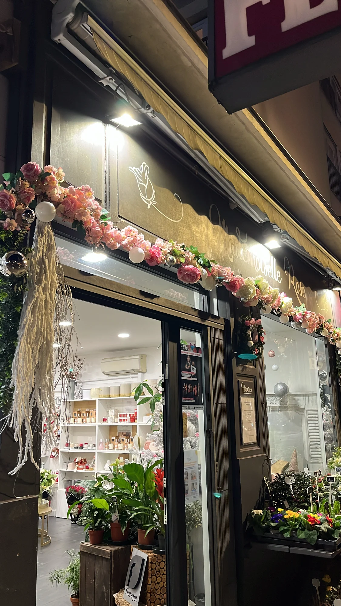 Mademoiselle Rose