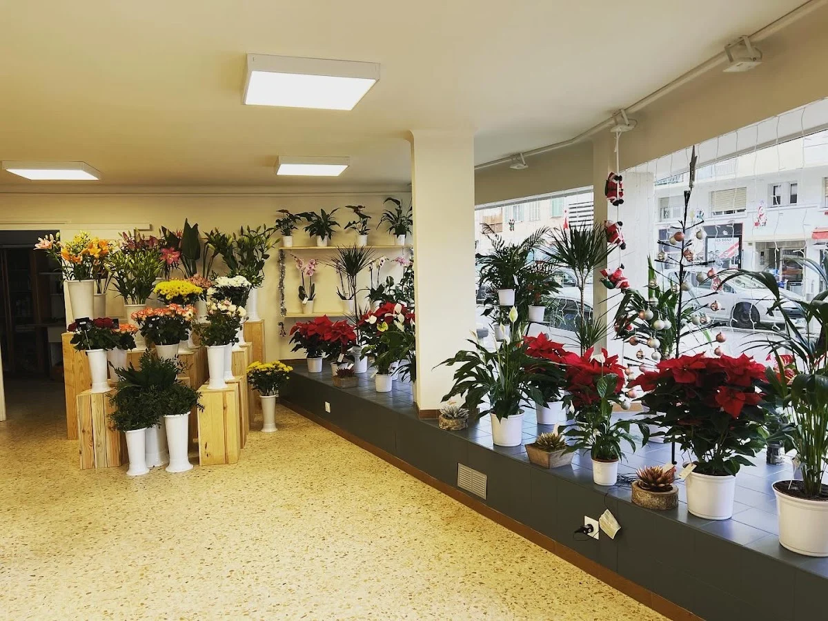 Mado Fleurs - 3