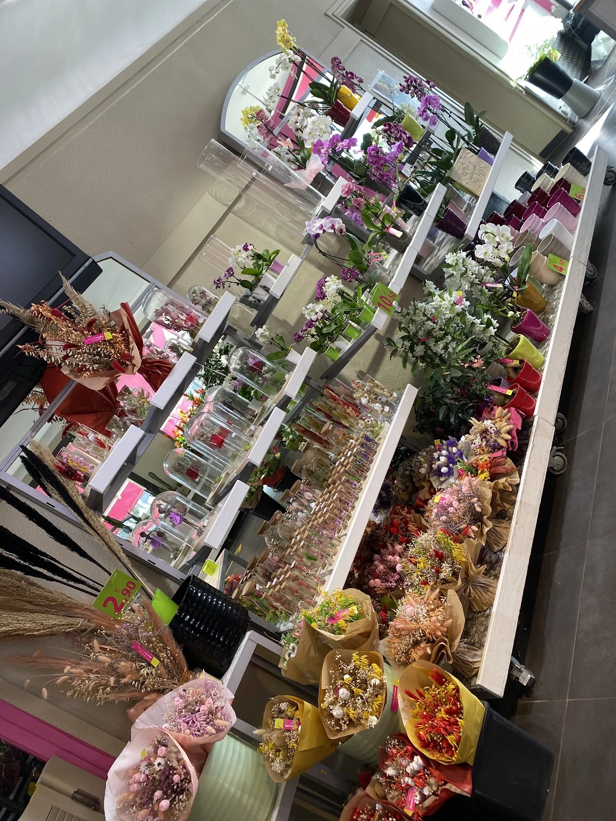 MAG FLEURS - 2