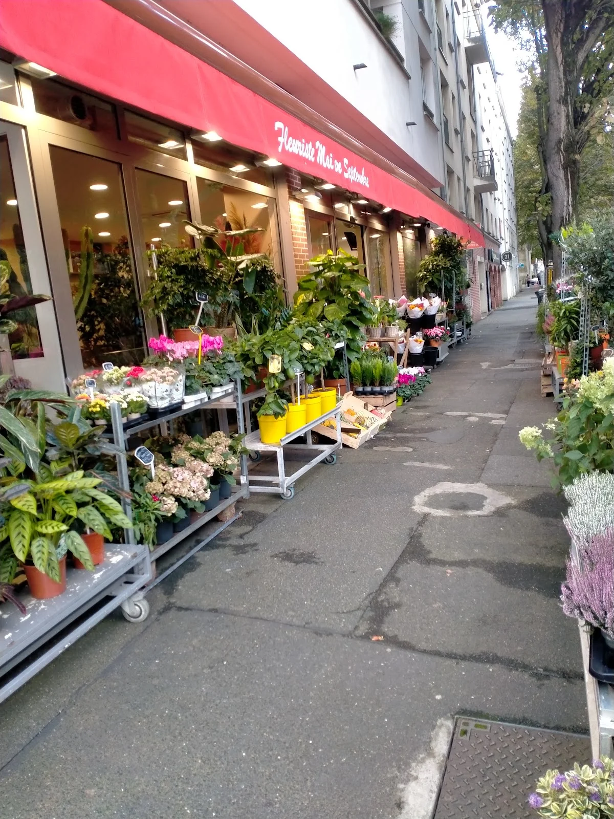 Mai en Septembre - 4