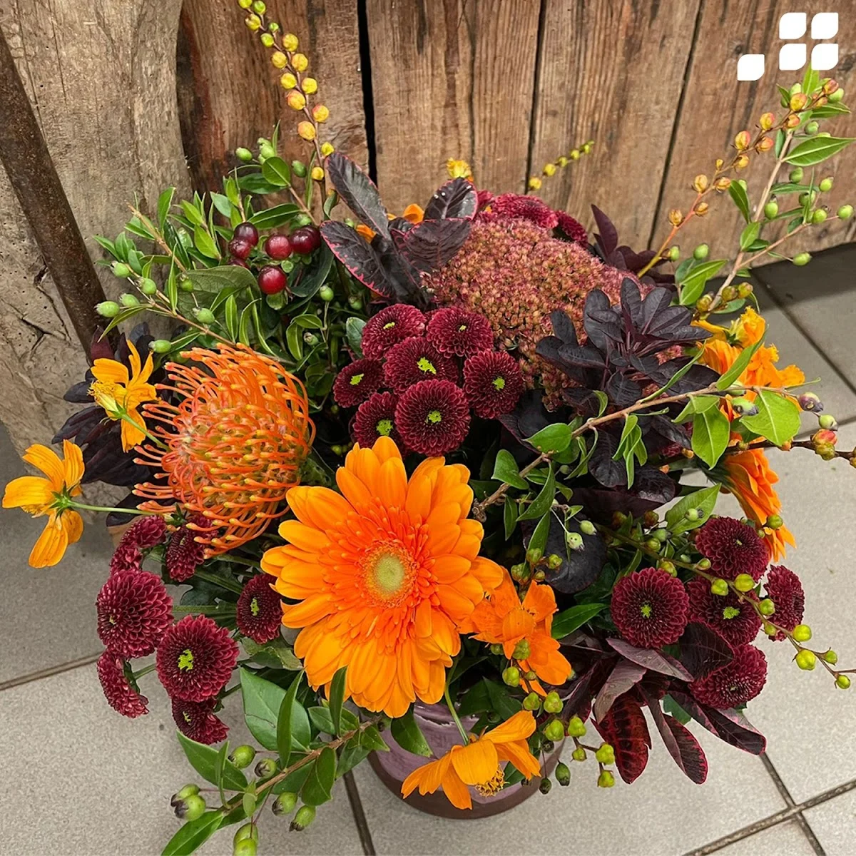 Mai en Septembre - 6