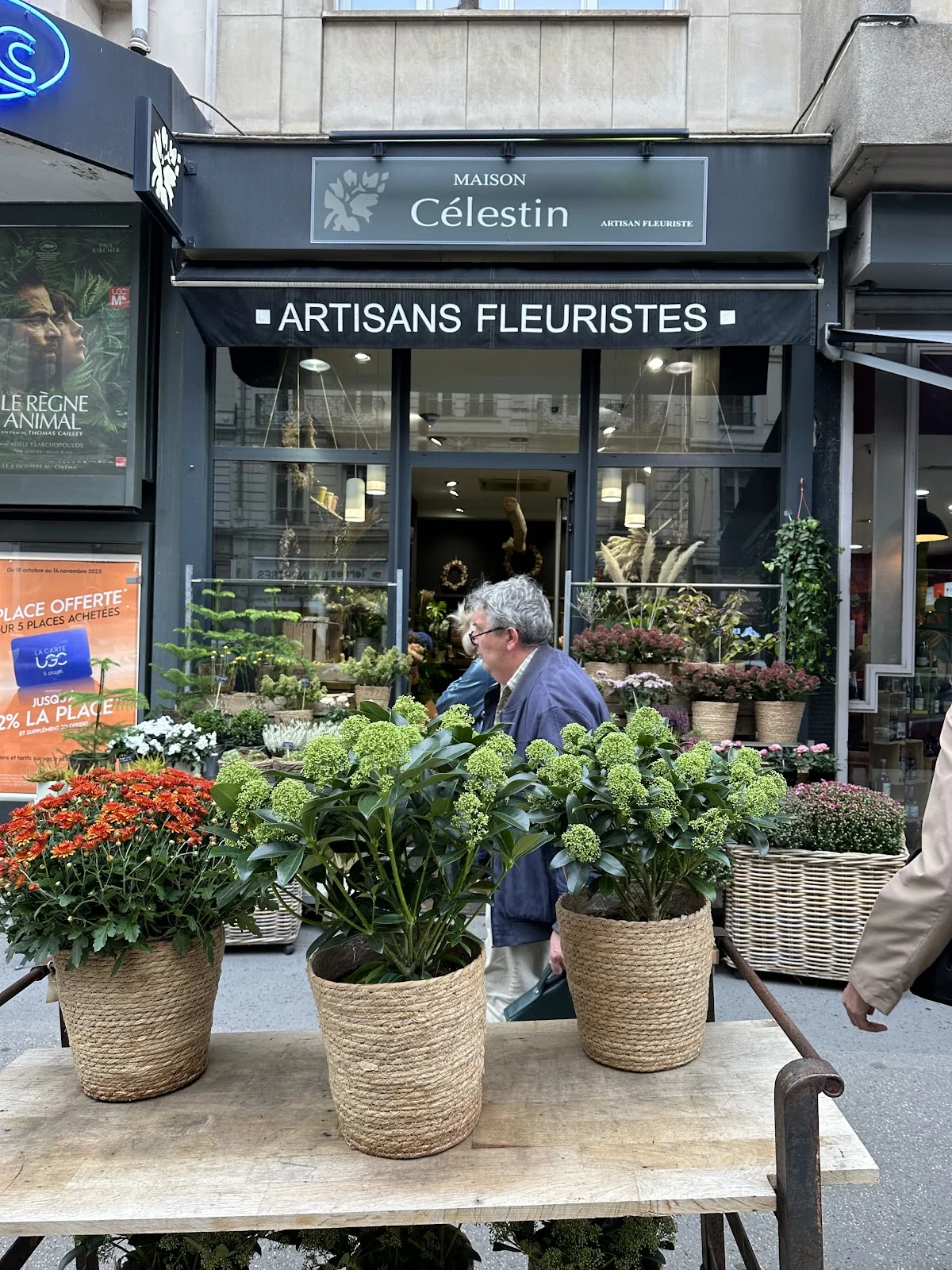 MAISON CELESTIN