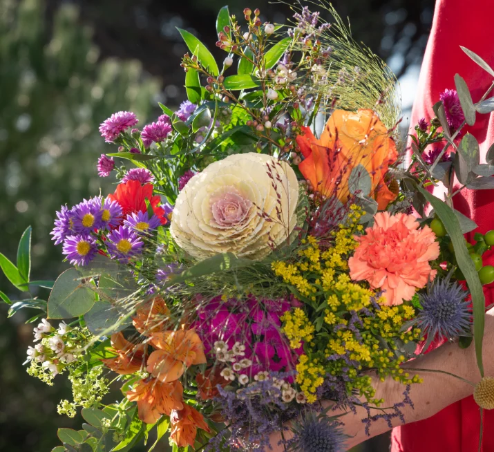 Maison de Rose - 4