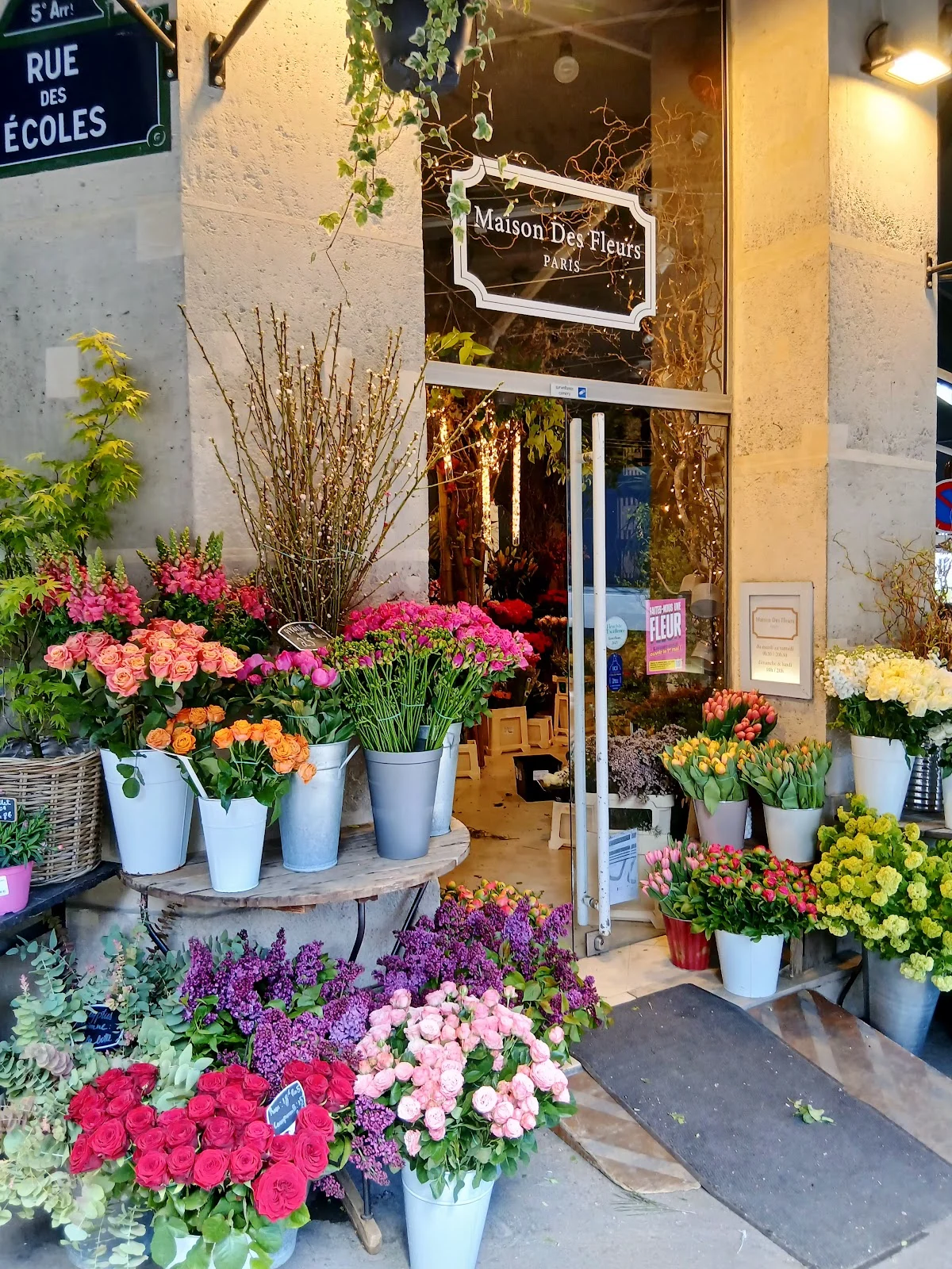 Maison des fleurs - 2