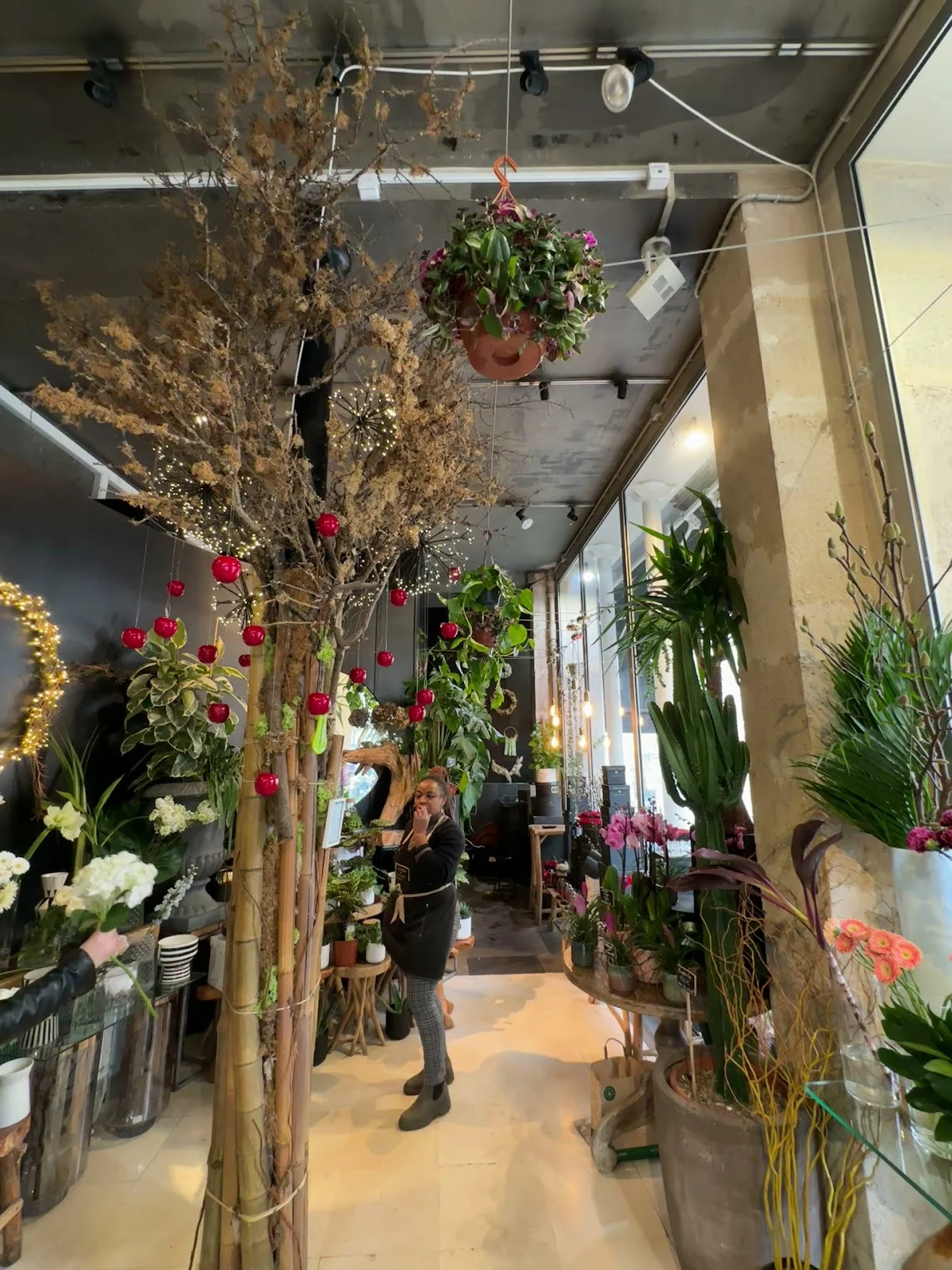Maison des fleurs - 3