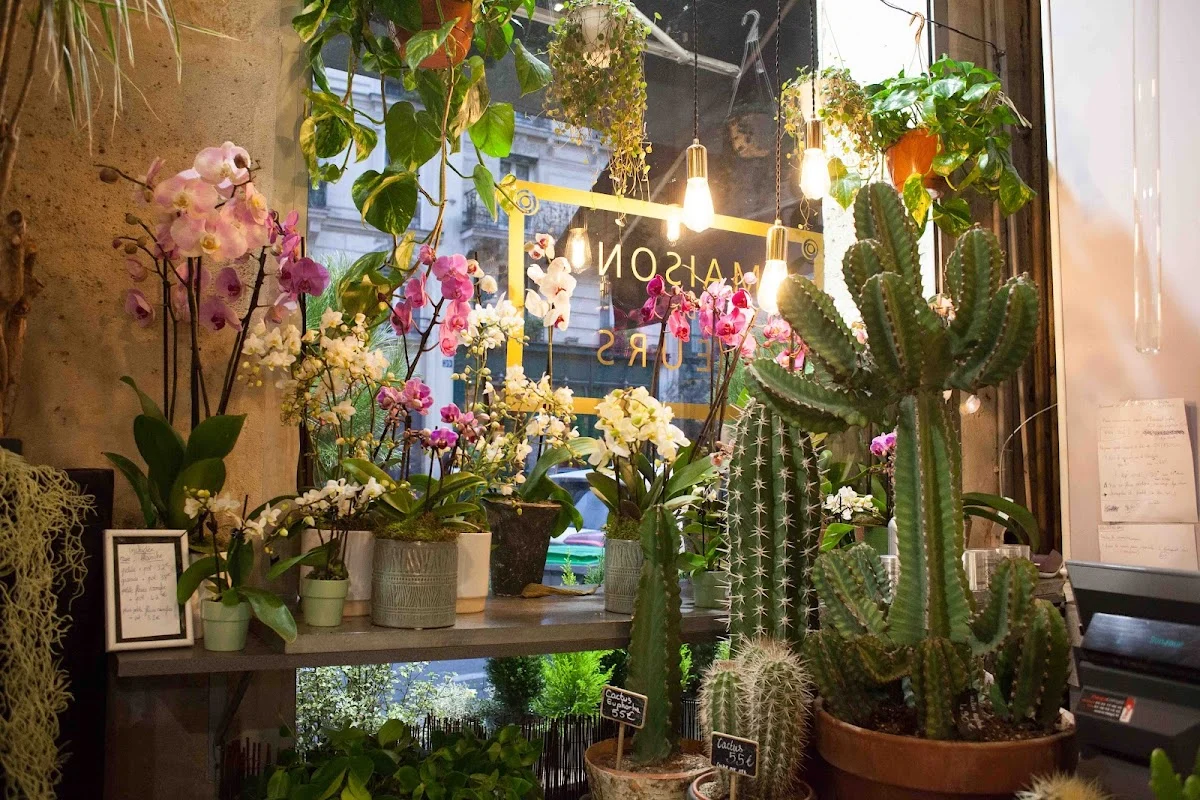 Maison des fleurs - 5