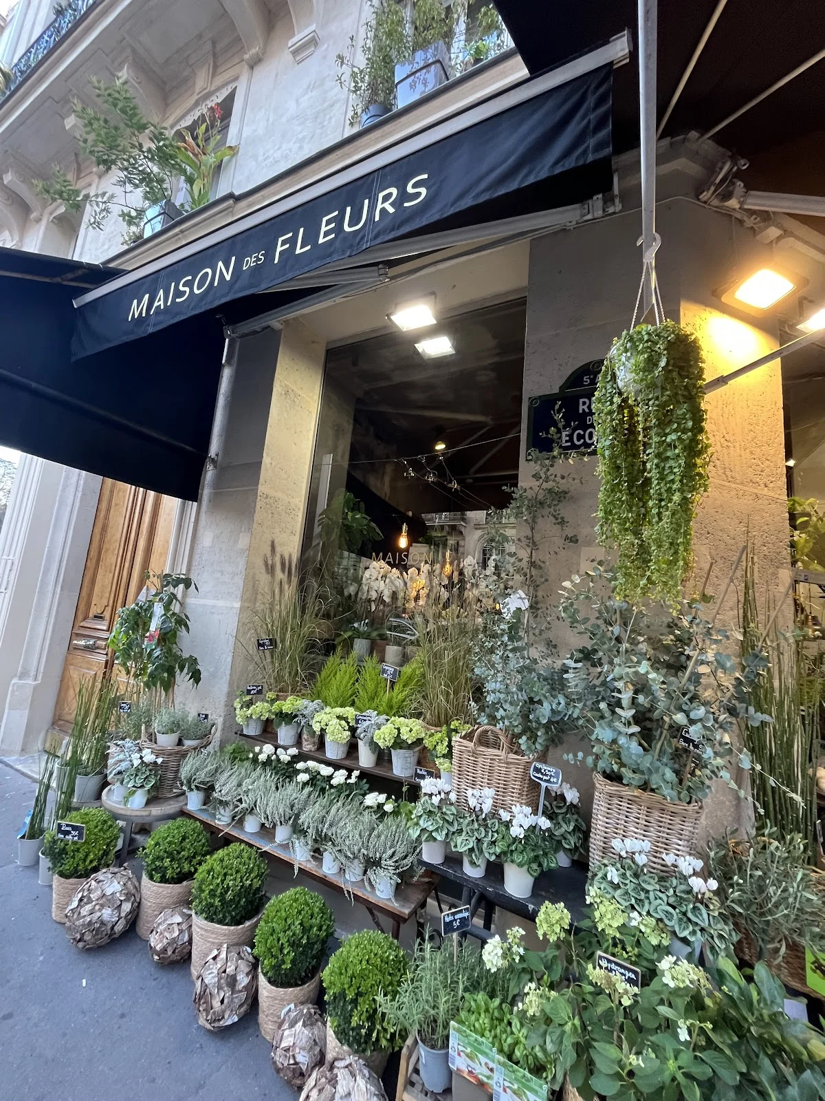 Maison des fleurs