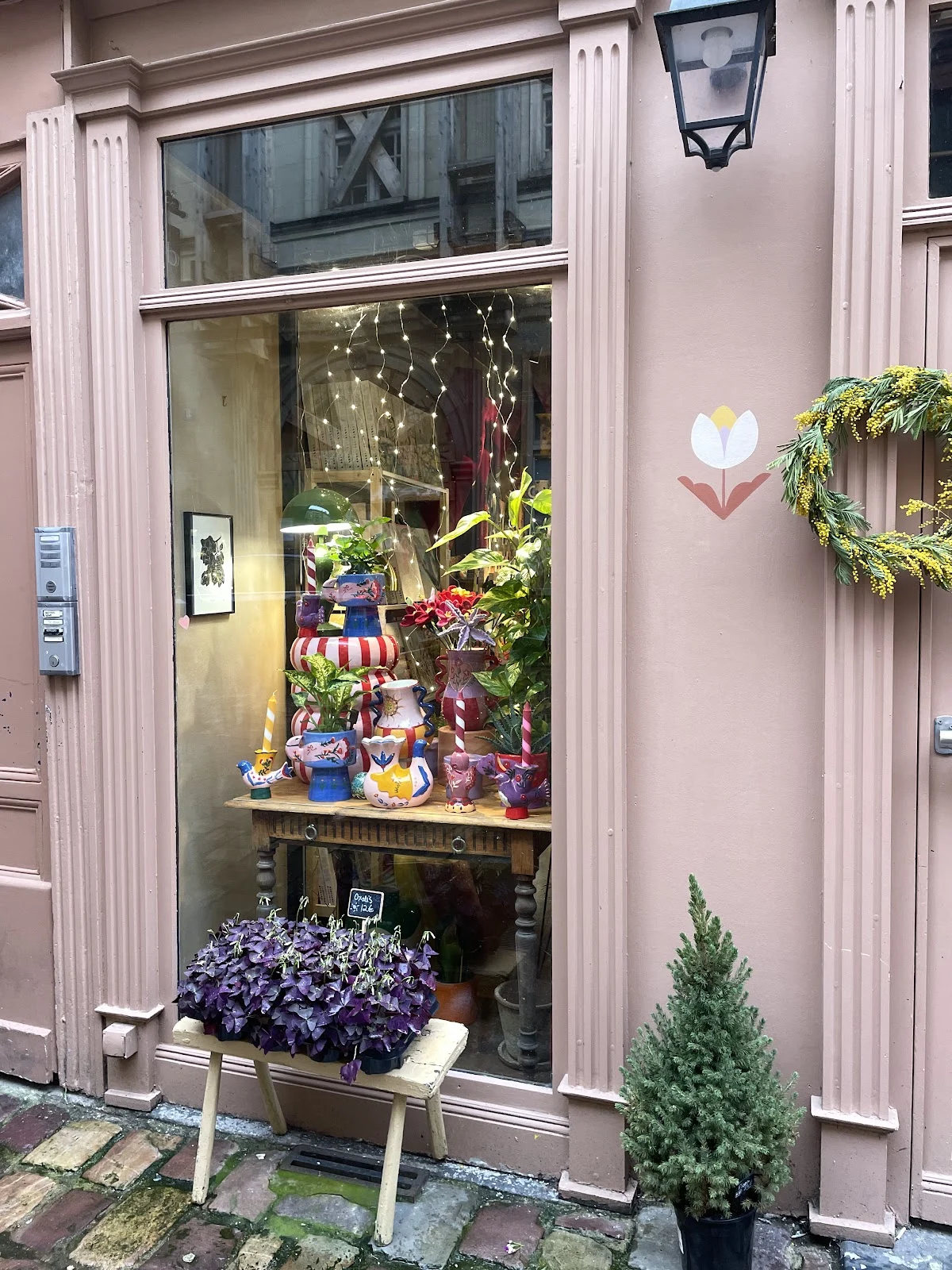 Maison Tulipe | Fleuriste Rennes