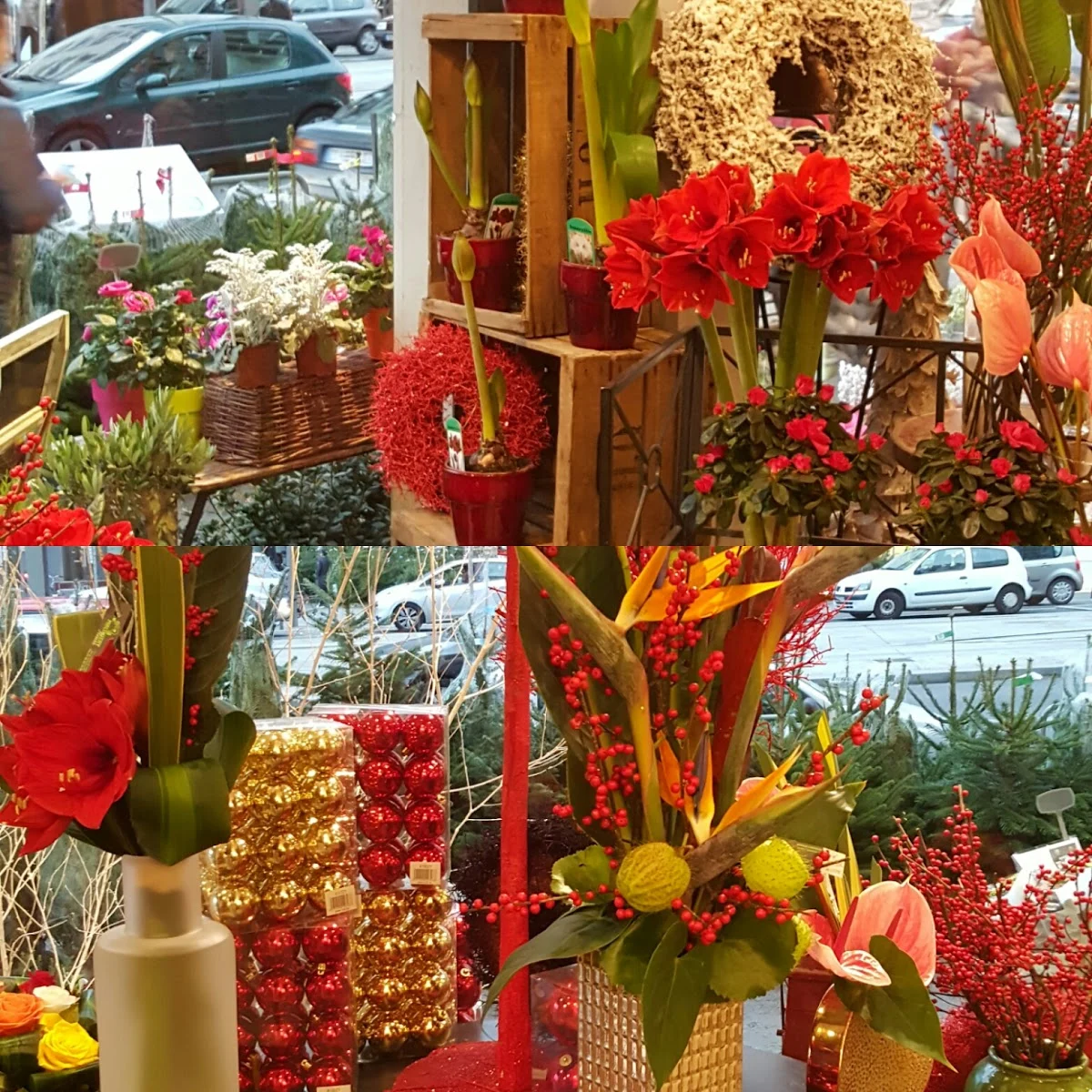 Malthiery Fleurs